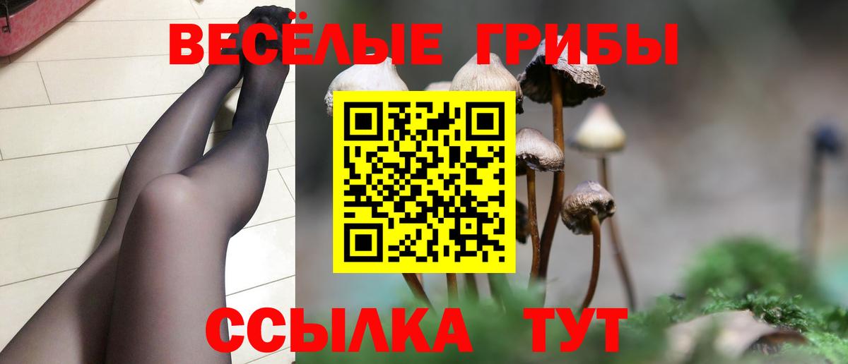 Чайковский  Псилоцибиновые грибы Cubensis  где купить наркотик  Вход с VPN  Галлюциногенные грибы мухоморы 